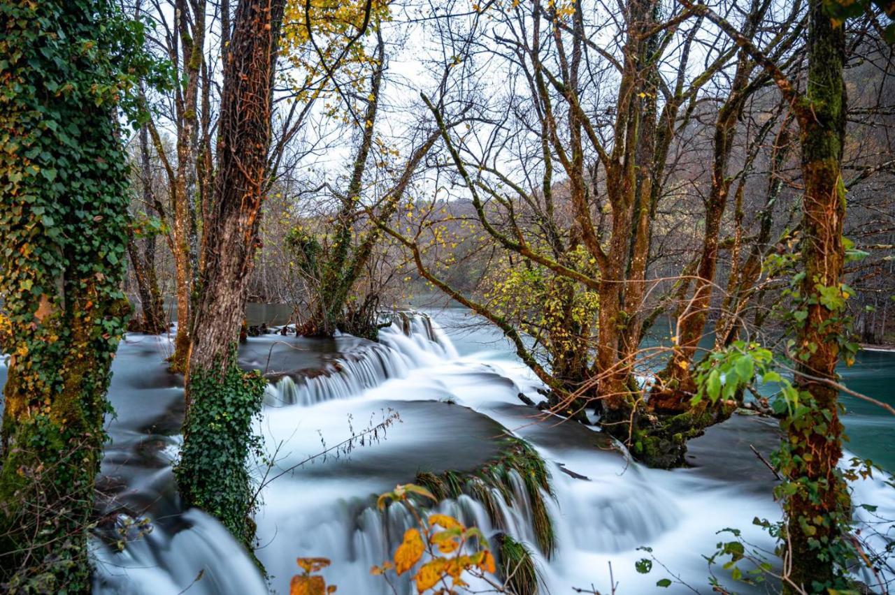 Ecotourism Mreznica Villa Екстериор снимка