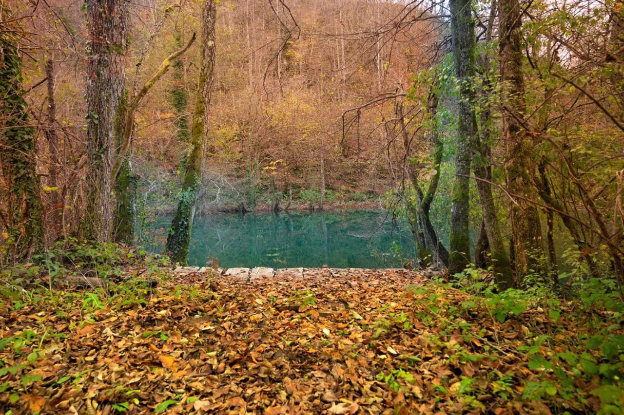Ecotourism Mreznica Villa Екстериор снимка